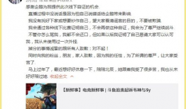 k91g自证直播,揭秘网络红人的真实魅力与成长历程